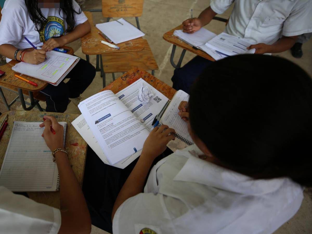 Estudiantes del Distrito Central tienen bajos niveles de aprendizaje