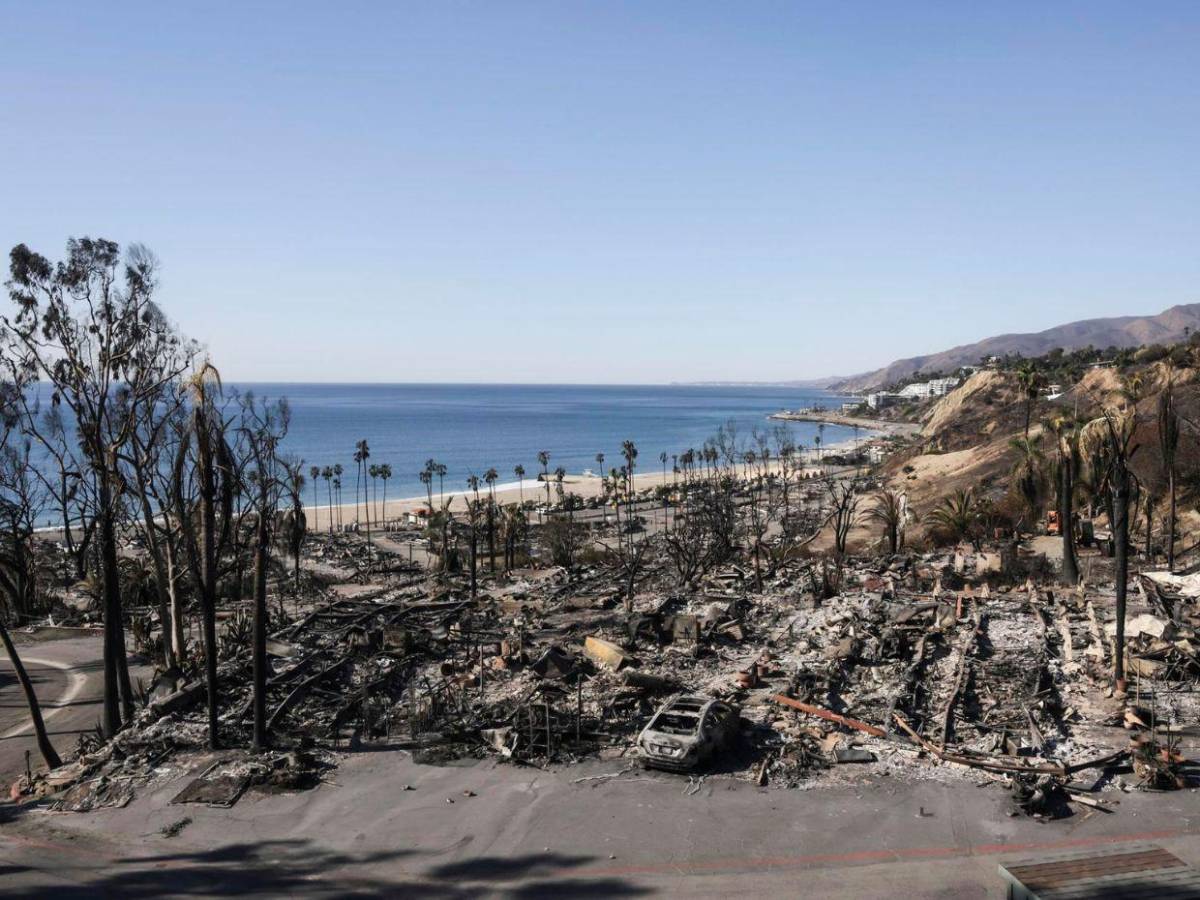 ¿Incendios fueron provocados? La teoría que asegura que crearán “smart cities” en Los Ángeles