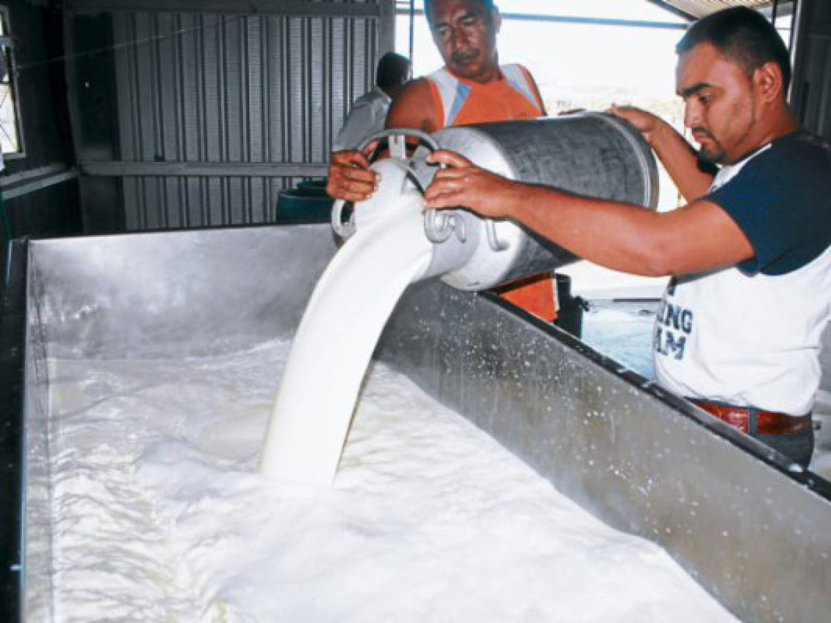 Piden aumento de dos lempiras al litro de leche; habrán multas