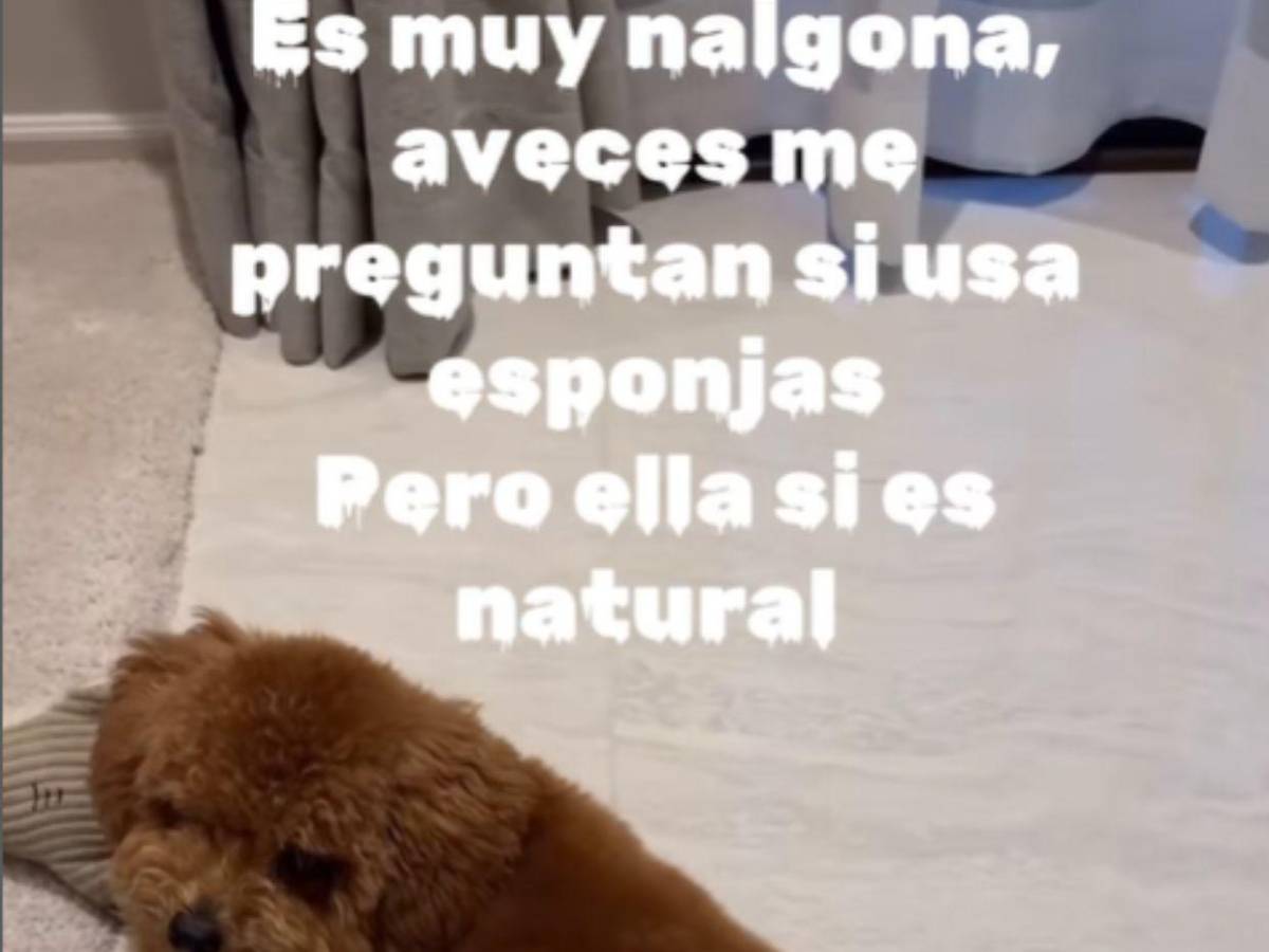 Así es “Ángela”, la mascota de Iveeth, presunta amante de Christian Nodal