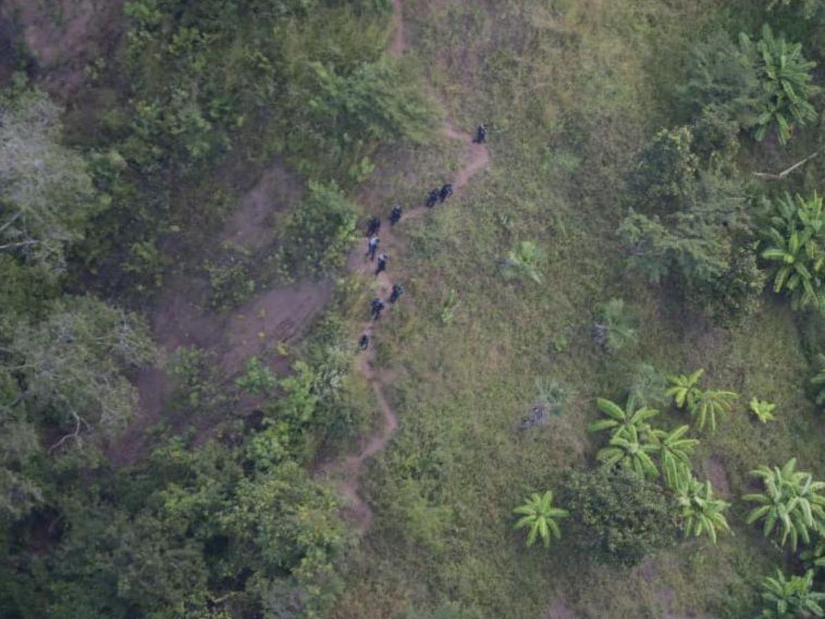 Toma aérea que muestra a miembros de la Dipampco internándose en una zona montañosa donde se sospecha la presencia de grupos delictivos.