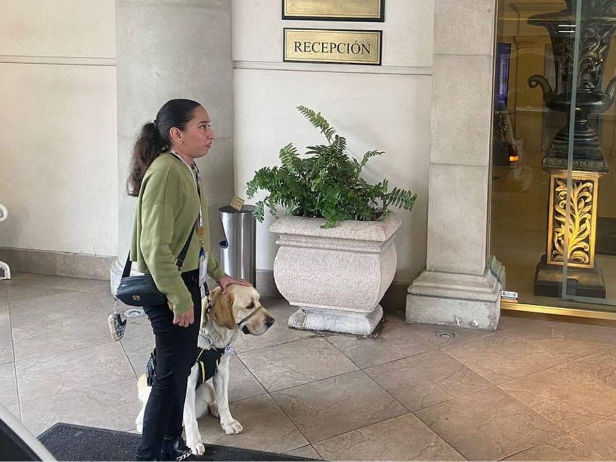 Sary, la joven no vidente a quien un hotel le negó el ingreso con su perro guía