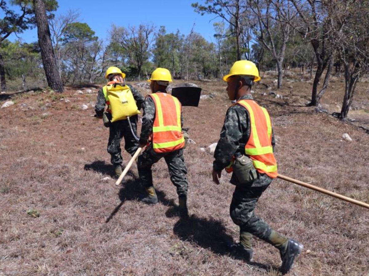 Más de 500 hombres están listos para combatir incendios forestales en la capital