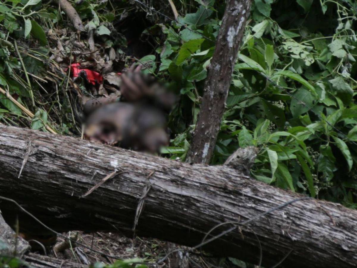 Sin piernas y amarrado: así fue encontrado cadáver en aldea Corralitos