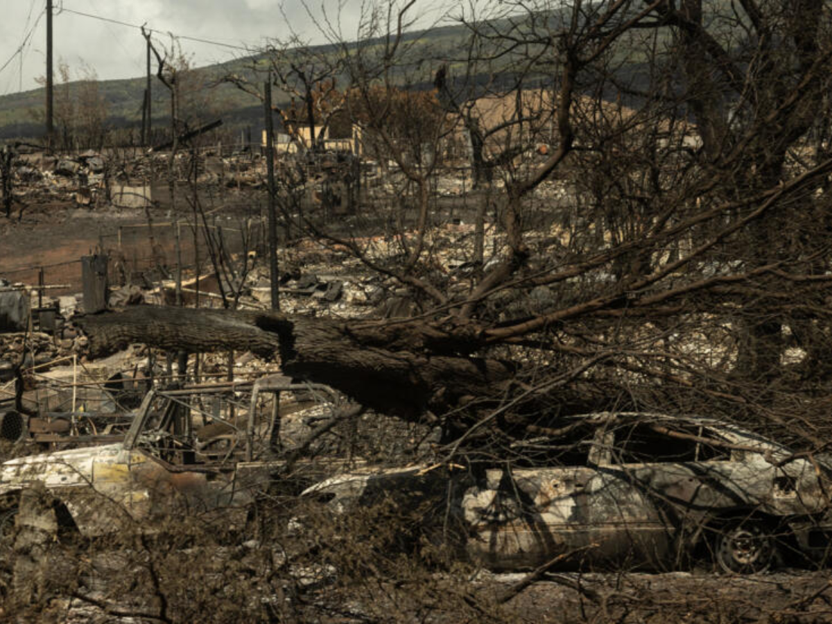 Mueren dos ciudadanos mexicanos en incendios en Hawái