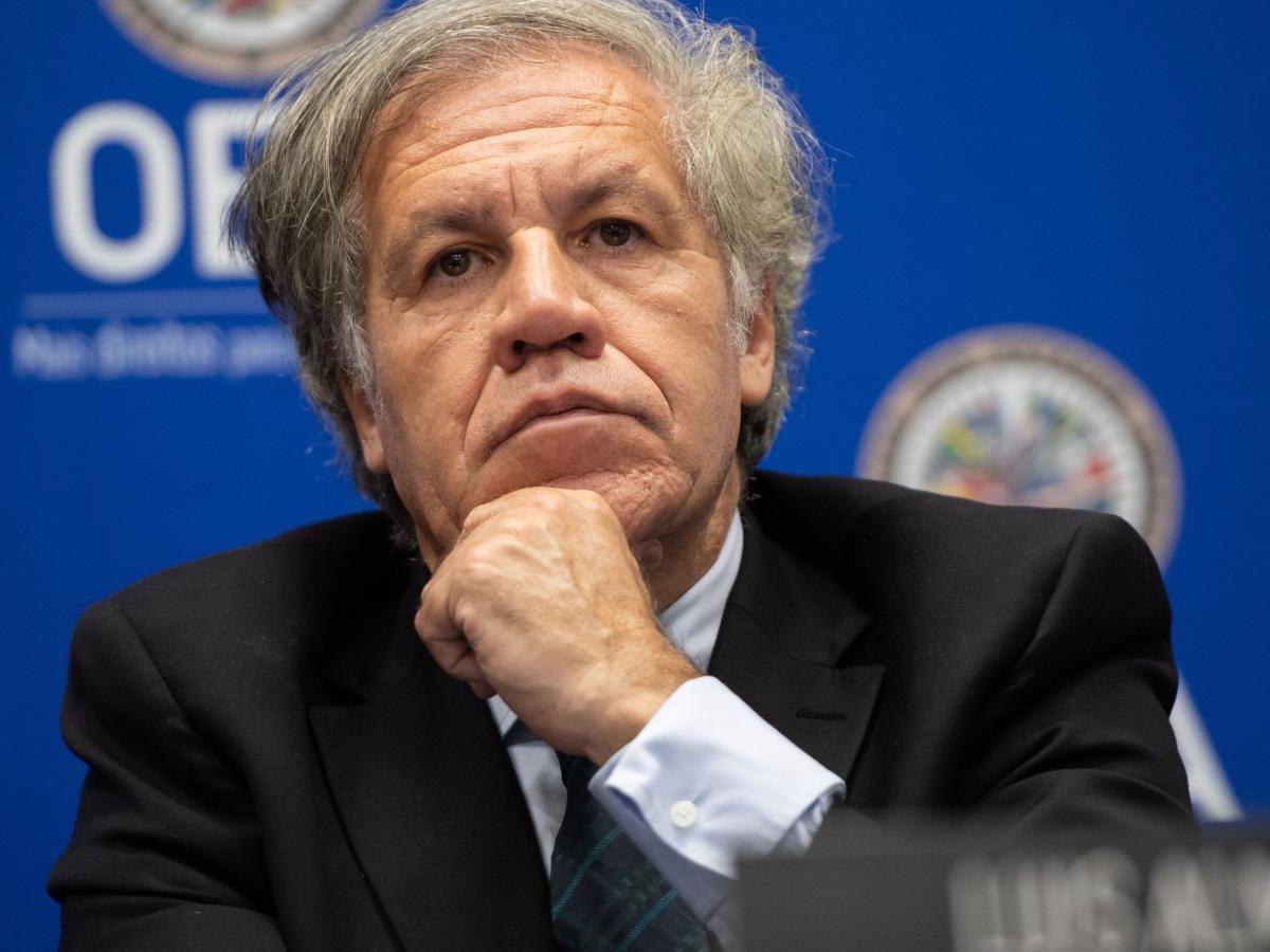 Luis Almagro violó “obligaciones éticas” de la OEA por relación con subalterna