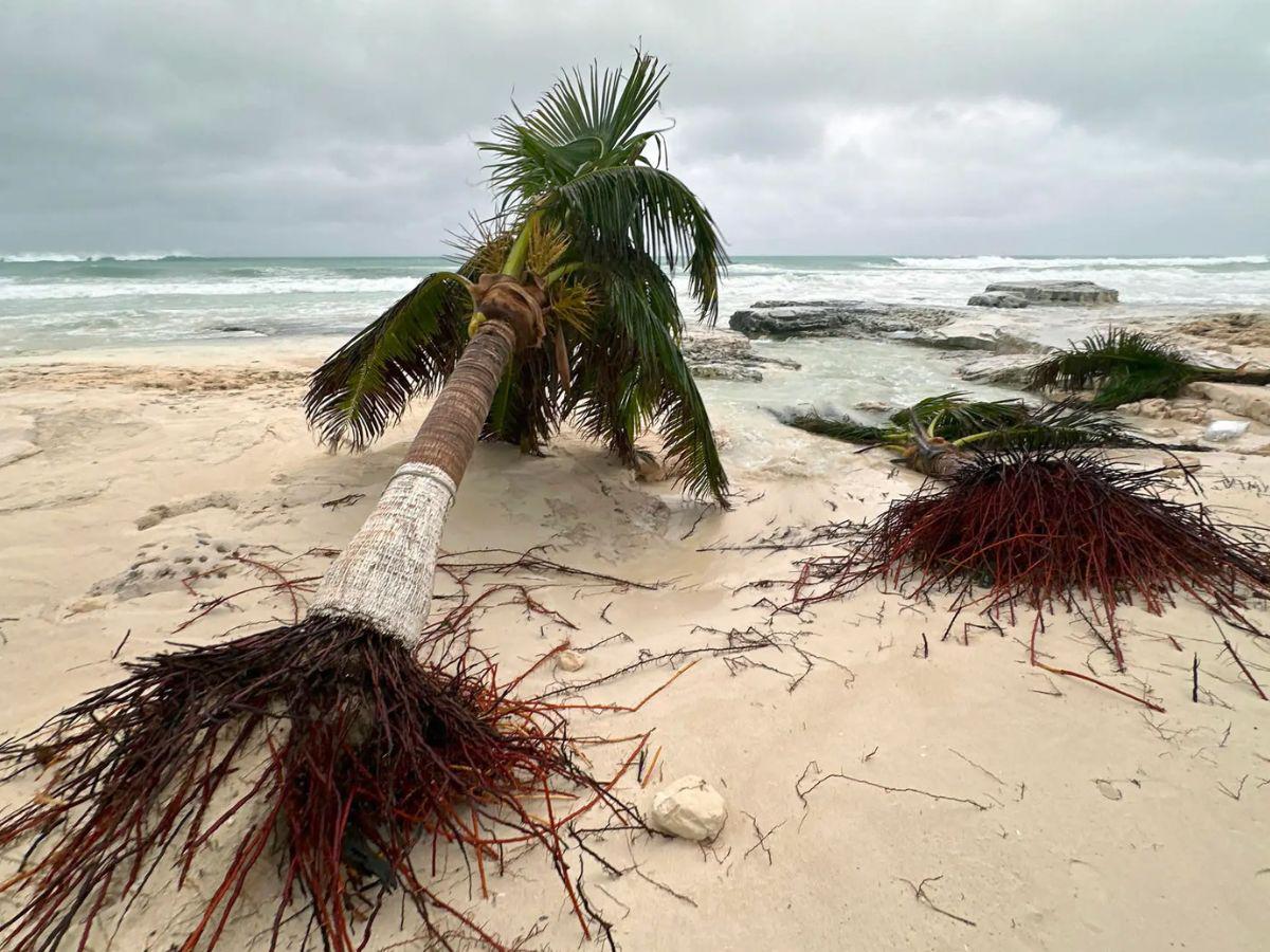 Cuatro muertos y familias sin viviendas: daños provocados por el huracán Helene