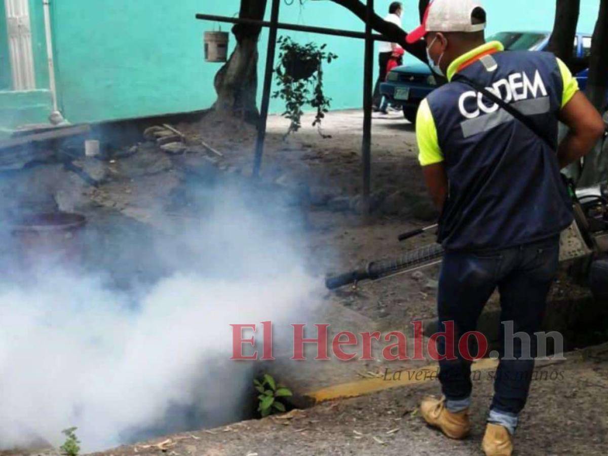 En un 134% incrementan los casos de dengue en el Distrito Central