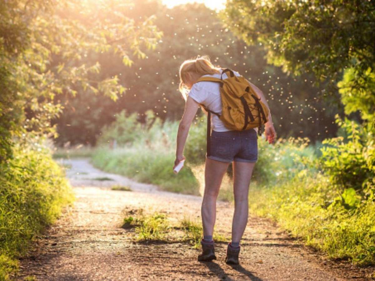 Crear tu propio repelente casero es una buena opción para este verano.