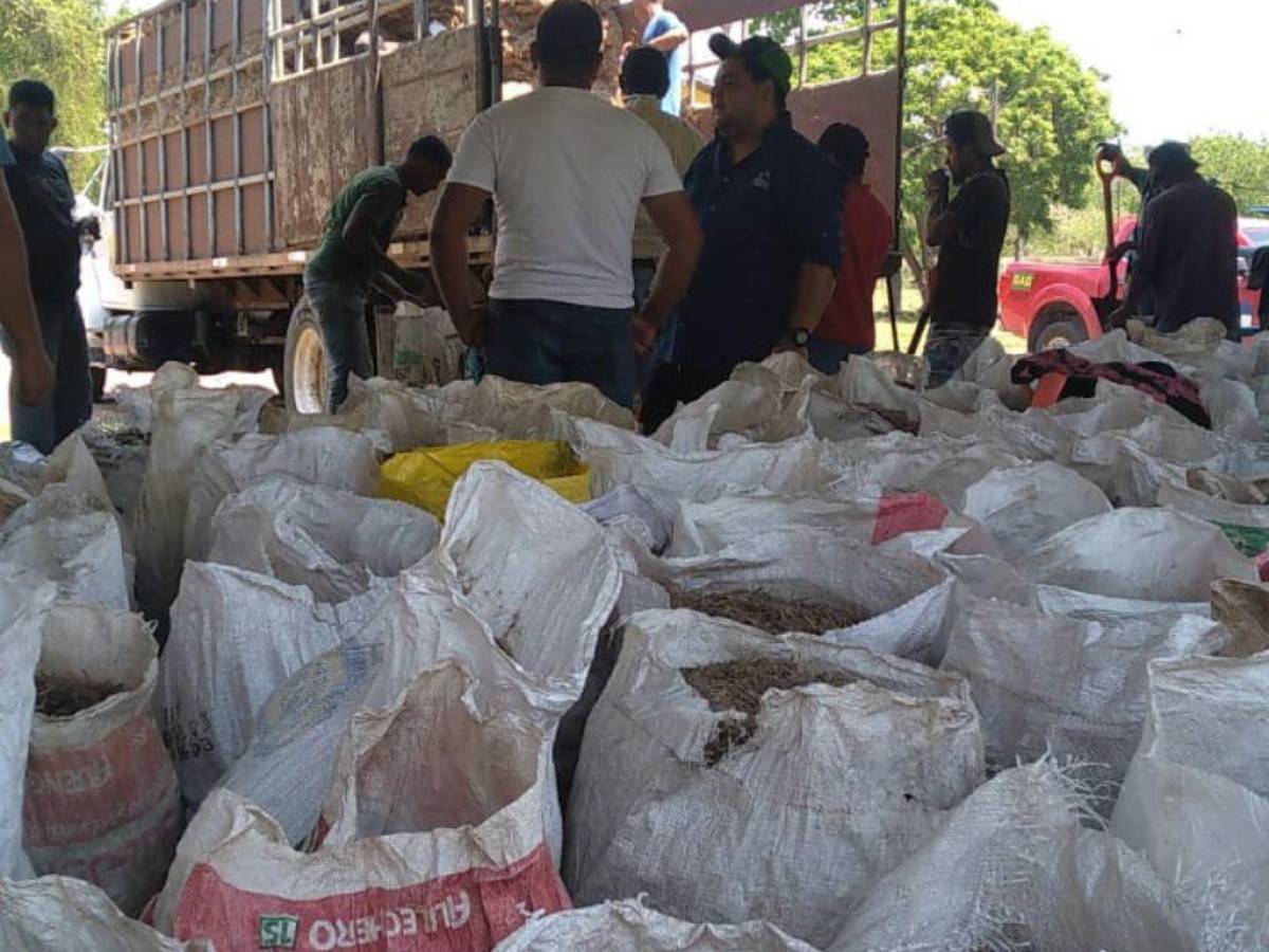 Ganaderos y productores que han sido afectados por el fenómeno de El Niño fueron beneficiados.