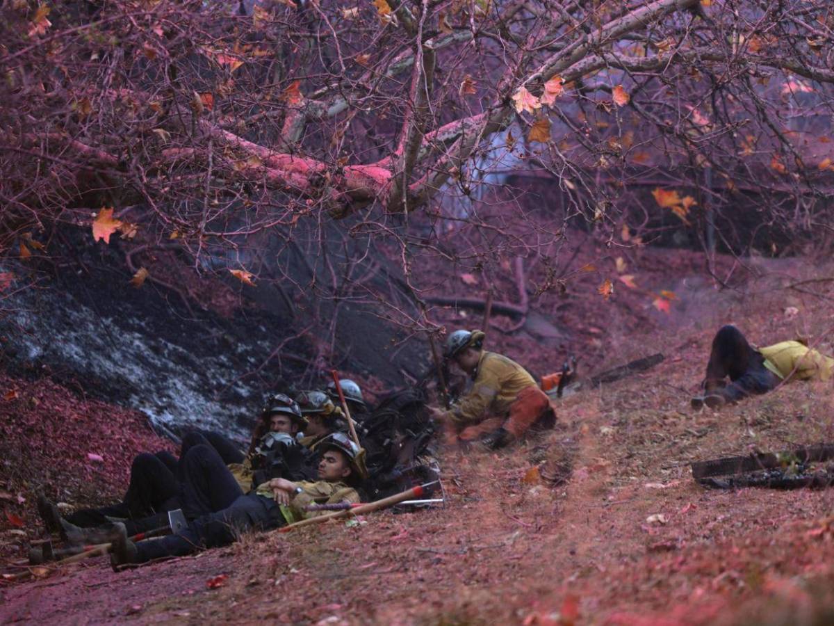 Incendios en Los Ángeles: ¿Qué es y cómo funciona el polvo rosa que usan en California?