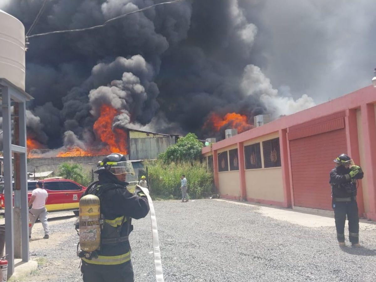 Las imágenes del pavoroso incendio en la colonia El Prado