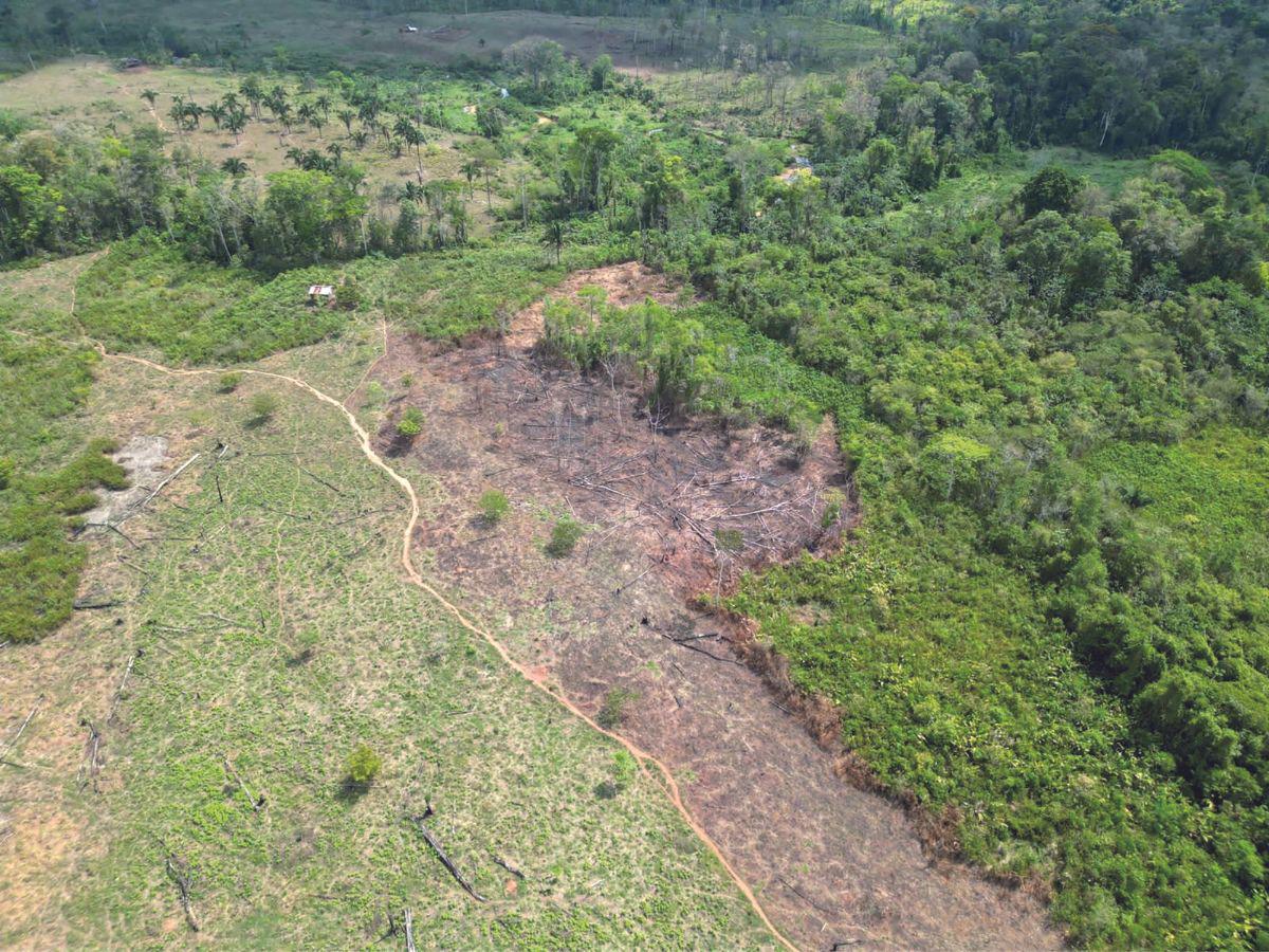 Brigadistas del ICF, la 120 Brigada de Infantería, la Fuerza de Tarea Maya-Chortí, la Alcaldía y comunidad de San Antonio, Copán, luchan por combatir los incendios en Cerro Azul.