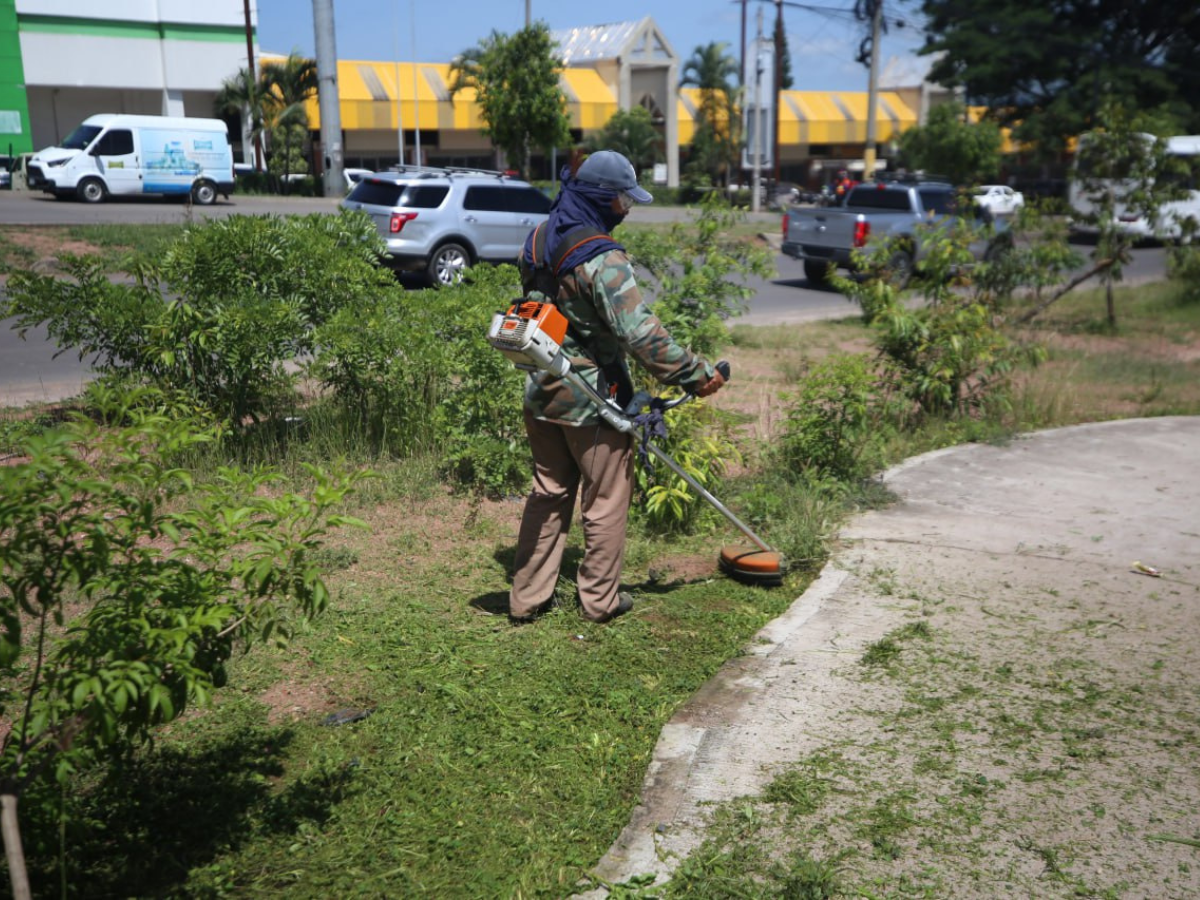 Espacios verdes y arbolados deben ser prioridad en el Distrito Central