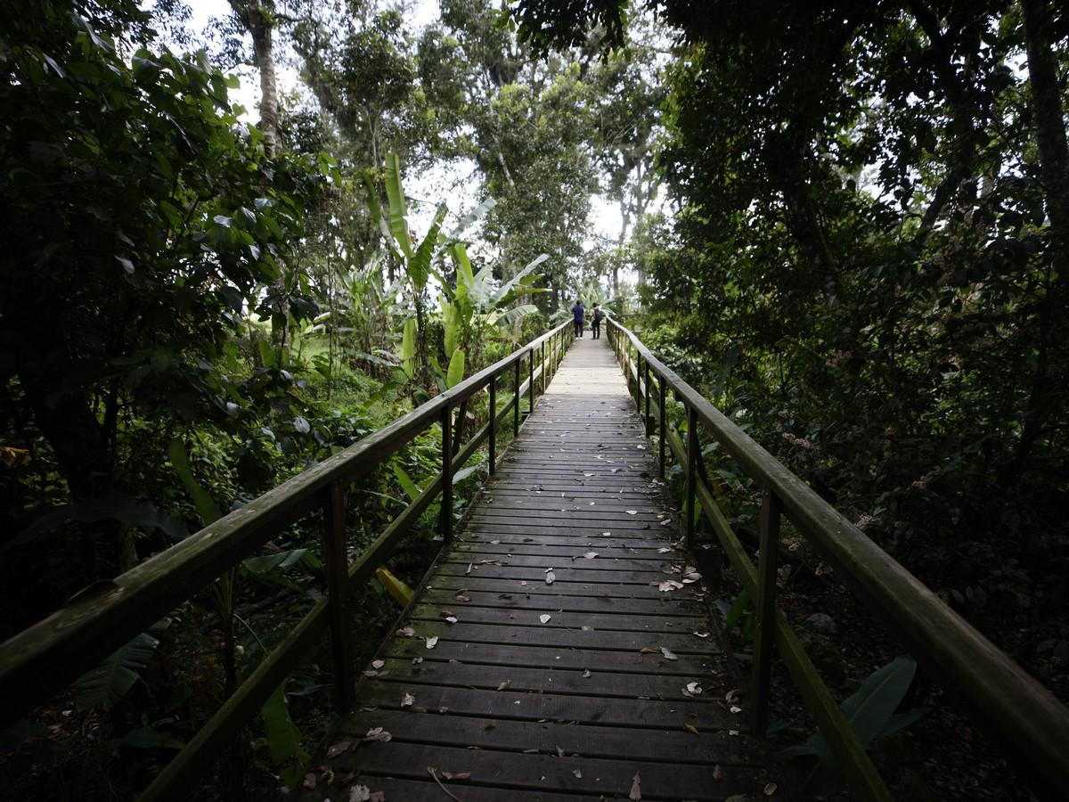 $!La belleza natural, cultural y arqueológica de Los Naranjos incluye vestigios de civilizaciones de 500 a 800 a.C. que dejaron huellas, además de una gran cantidad de flora y fauna. El ecosistema de los naranjos en riesgo por un asentamiento