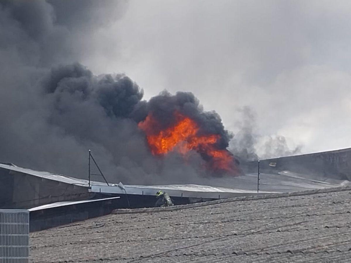 Las imágenes del pavoroso incendio en la colonia El Prado