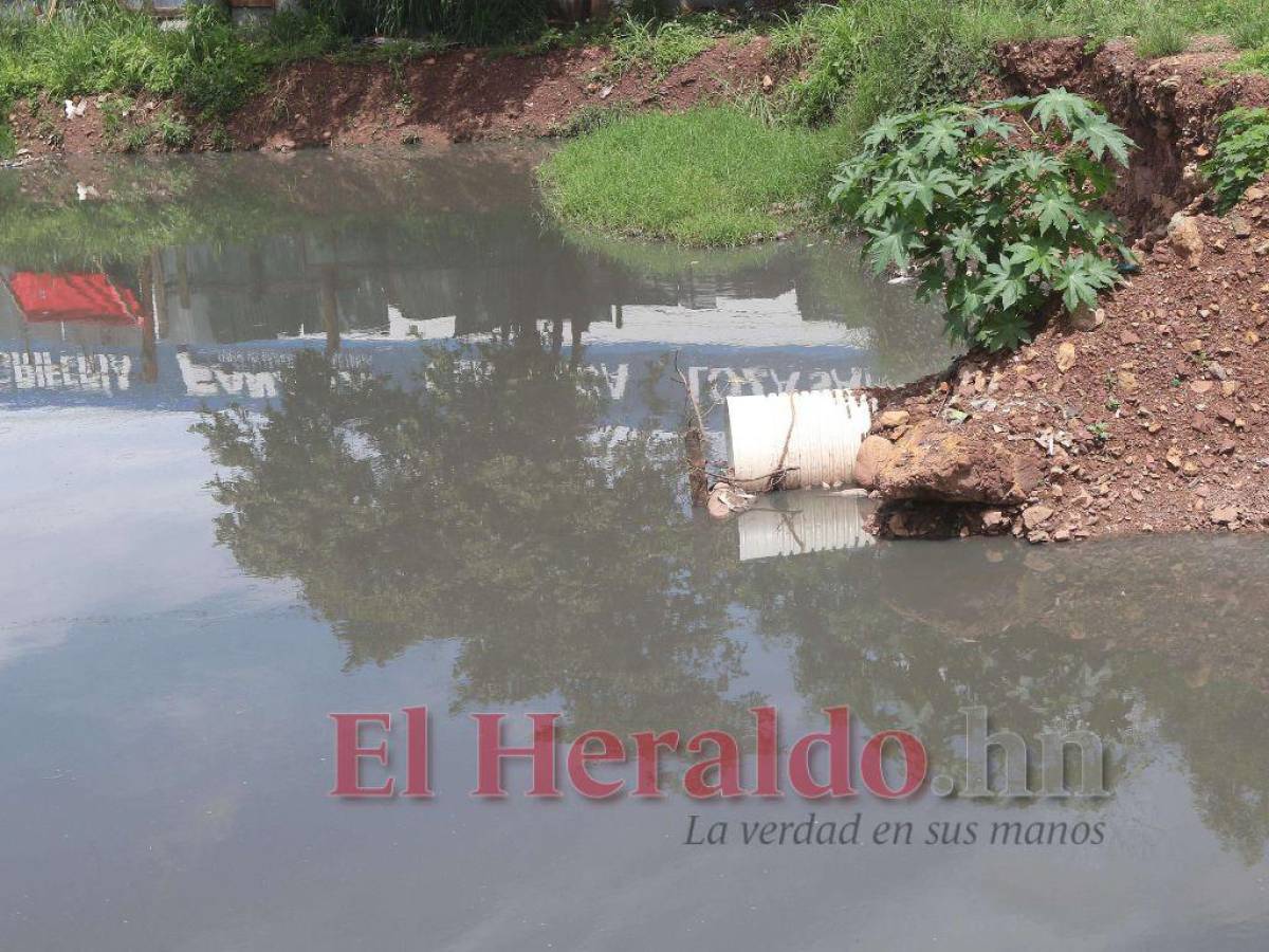 En laguna de aguas fecales está el fallo del embaulado y está rodeada de una densa maleza que se convierte en un criadero de zancudos.