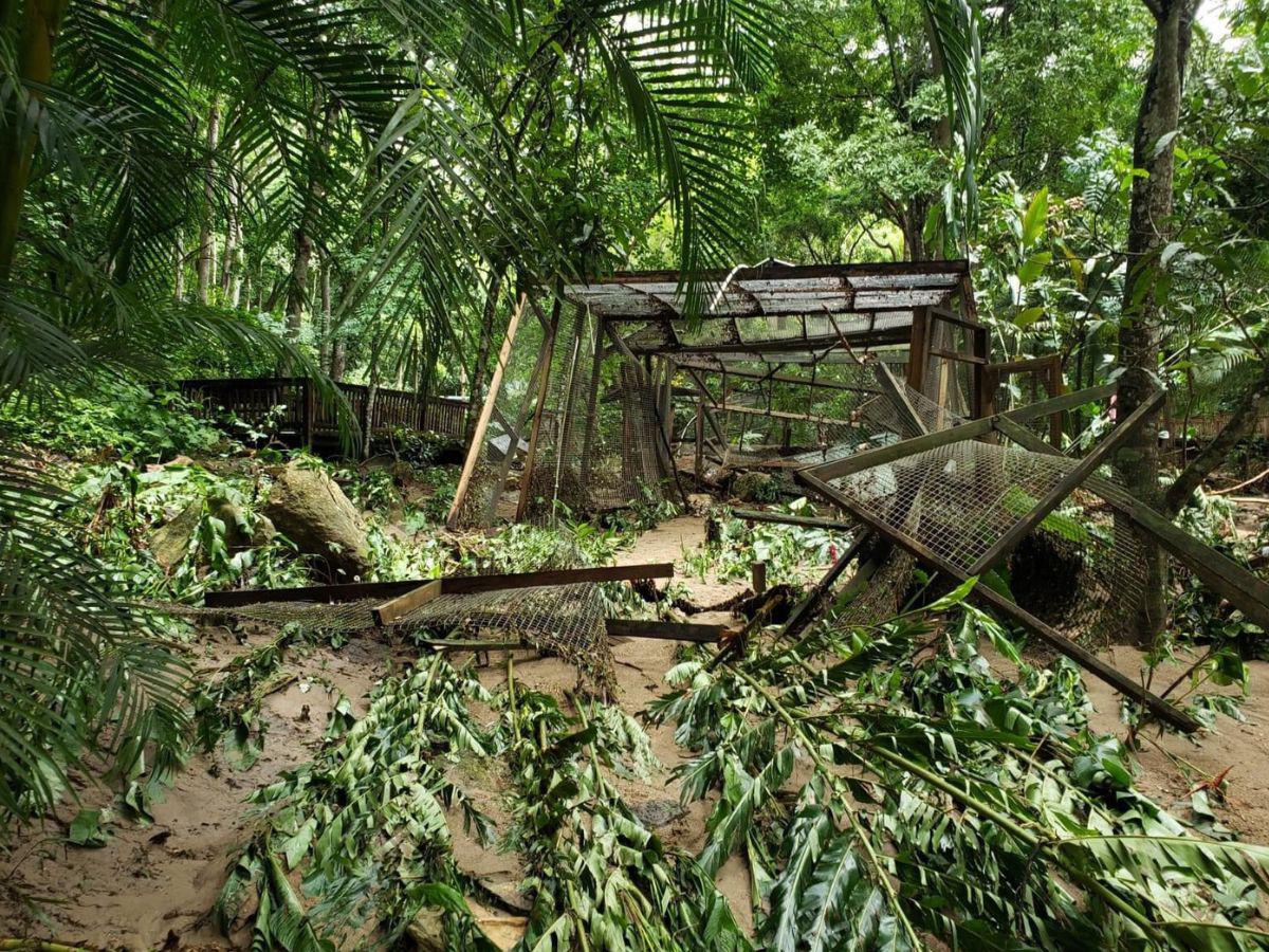 Fuerte lluvia causa daños significativos en el Parque de Aves “Macaw Mountain” de Copán Ruinas