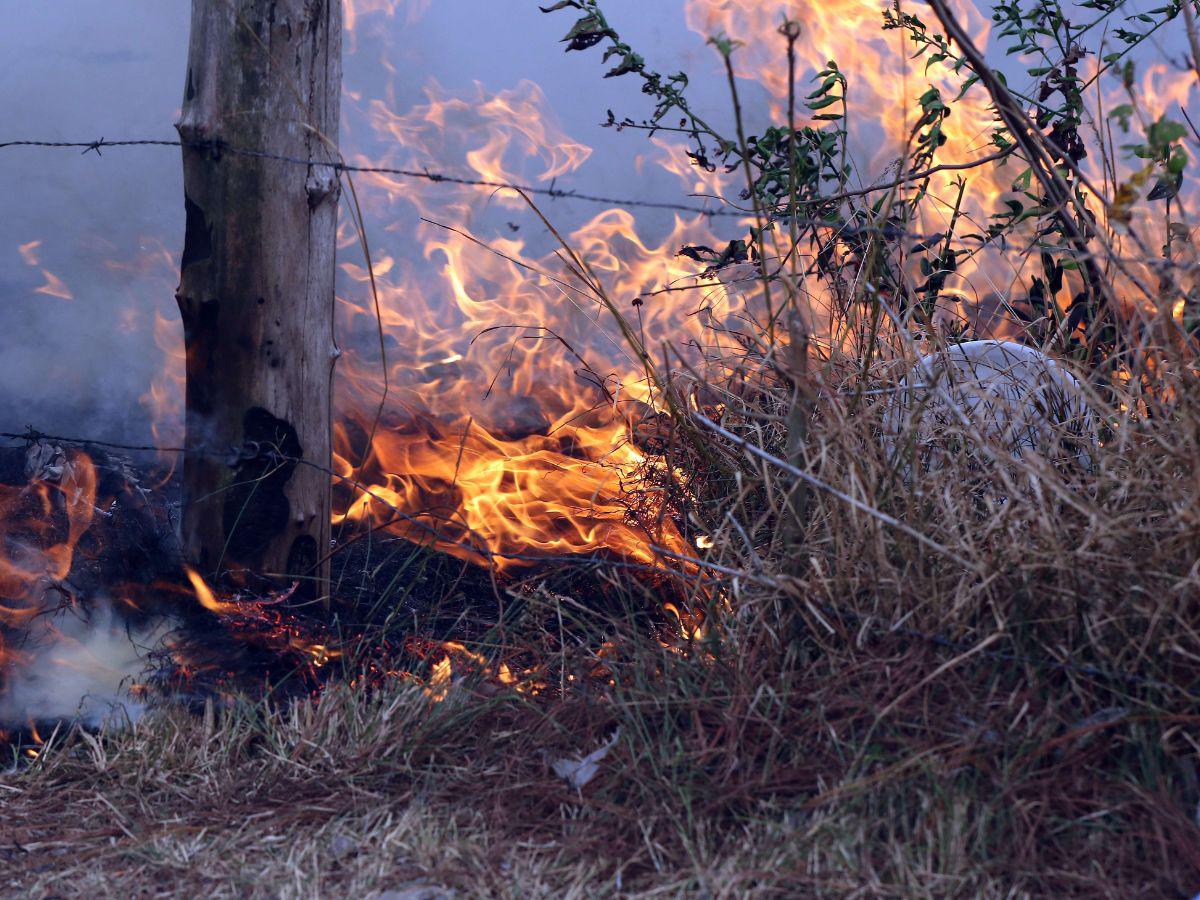 Activos unos 1,000 focos de incendios forestales a nivel nacional