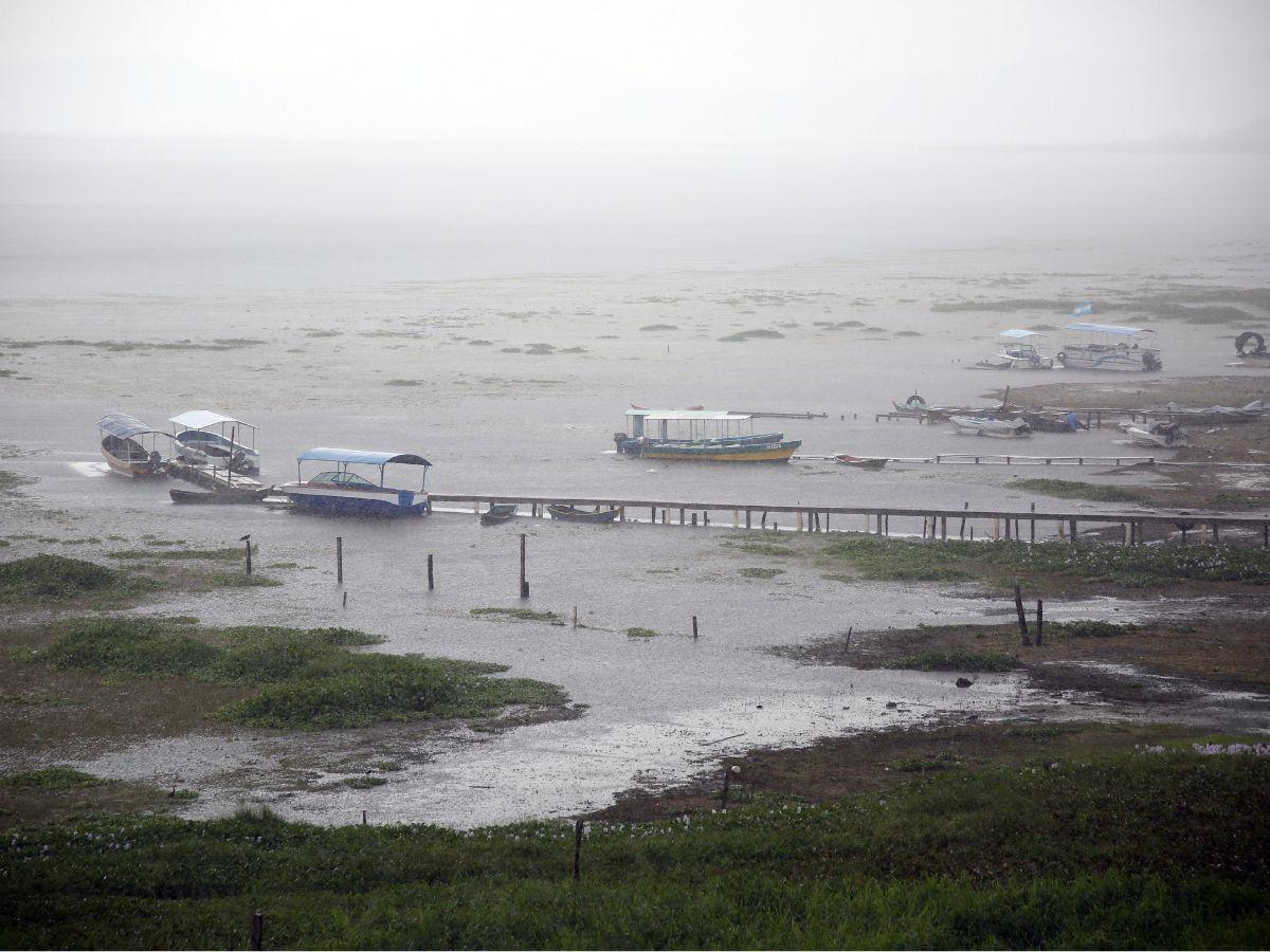 $!Los muelles solo eran una pequeña parte de la contaminación y amenazas del Lago de Yojoa. No se comparan con la deforestación y las invasiones.