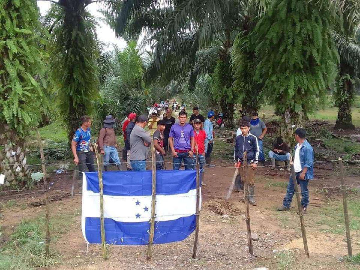 Invasiones mantienen en profunda crisis a la industria de palma aceitera