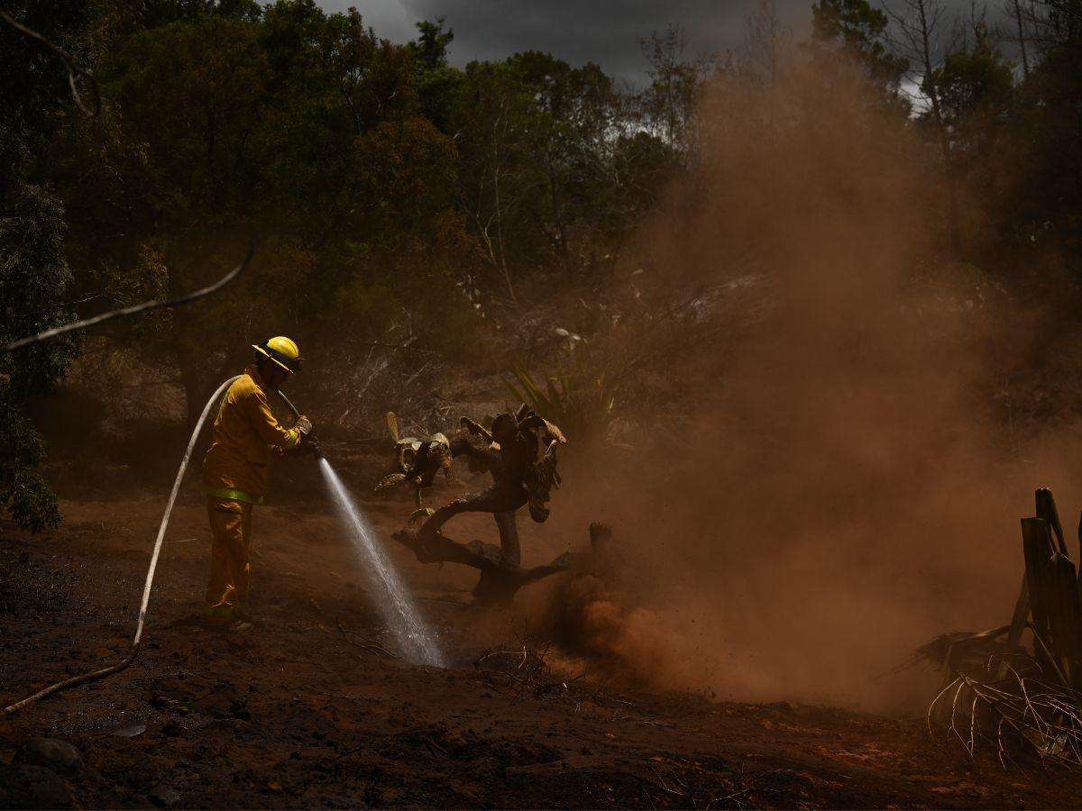 Autoridades temen que cifra de cadáveres por incendios de Hawái aumente cada día más