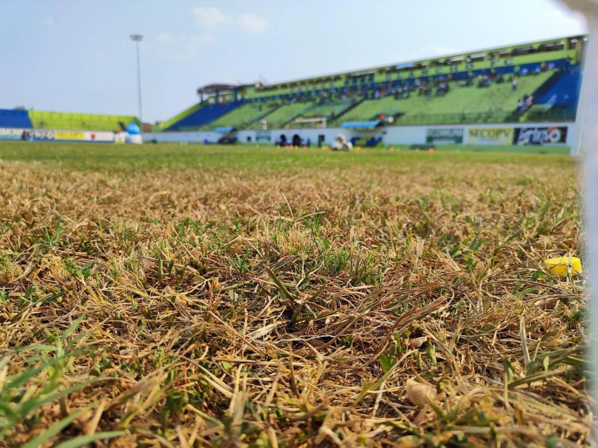 Comienzan los trabajos de cambio de engramillado en el estadio Juan Ramón Brevé