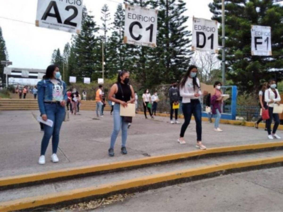 Mediante curso virtual capacitarán a estudiantes que deseen aplicar a la PAA