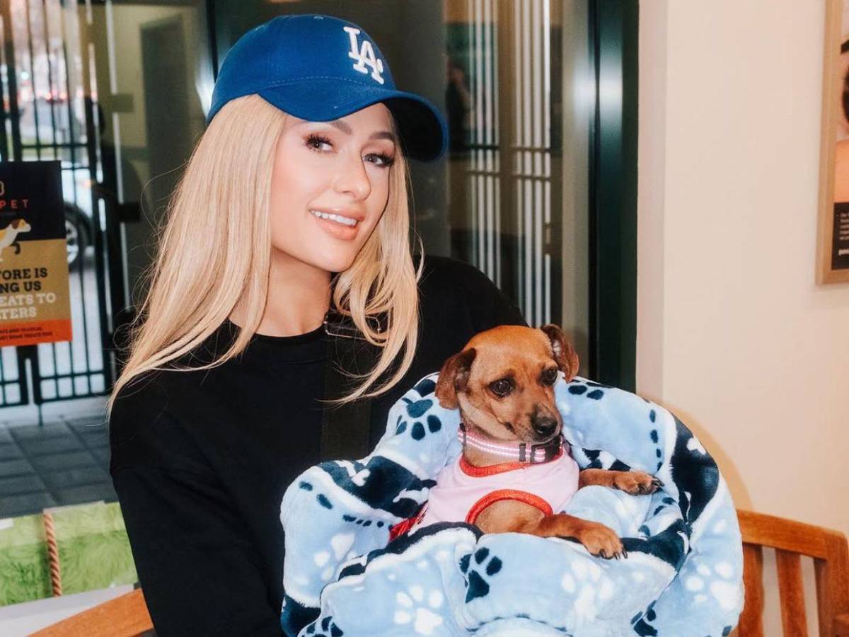 Paris Hilton se suma al rescate de animales tras incendios en Los Ángeles