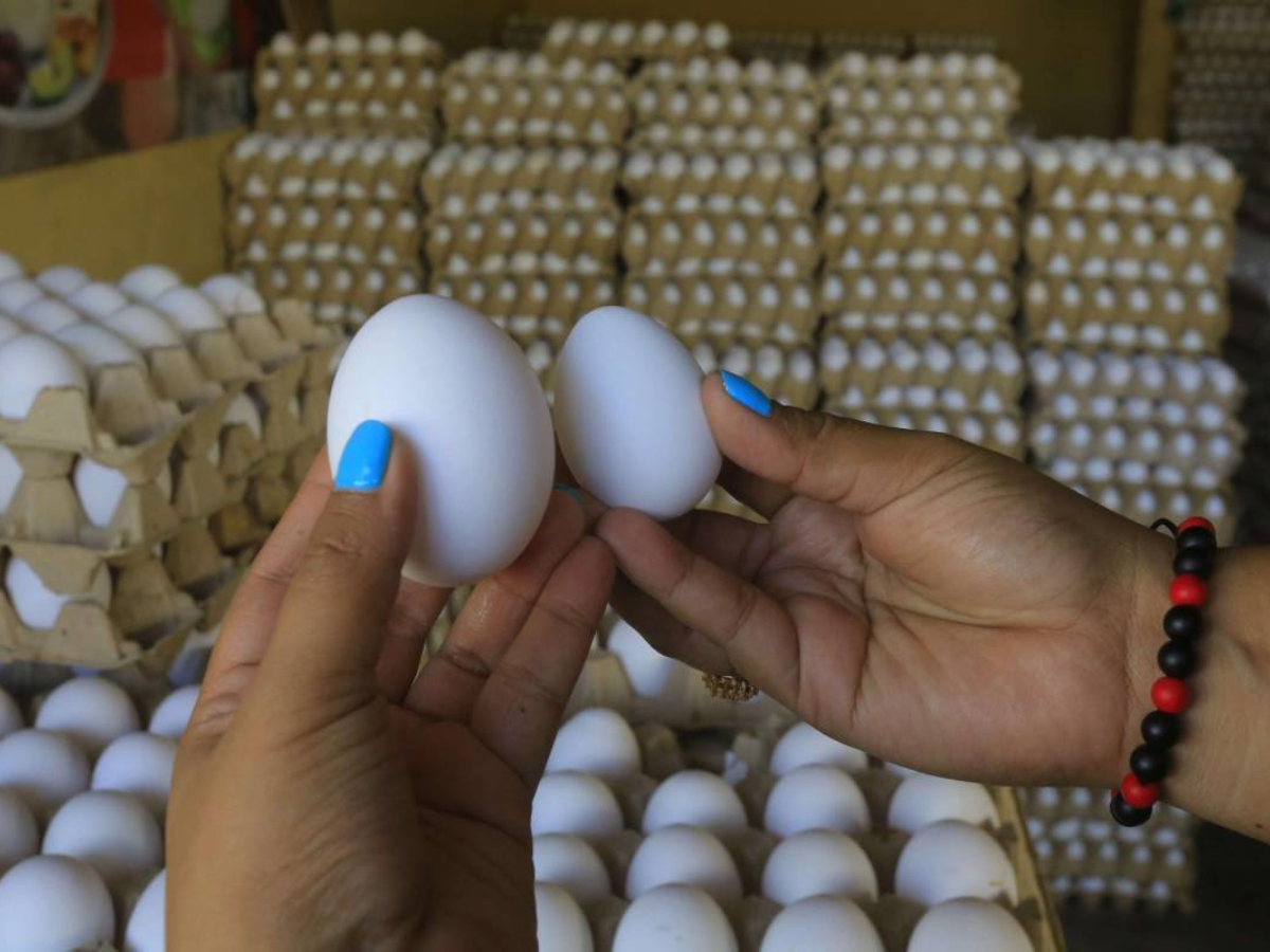 Huevos más caros: Precio del cartón sube en mercados y supermercados