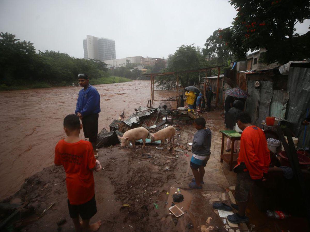 Evacúan familias de la Betania y Las Brisas por crecida del río Choluteca