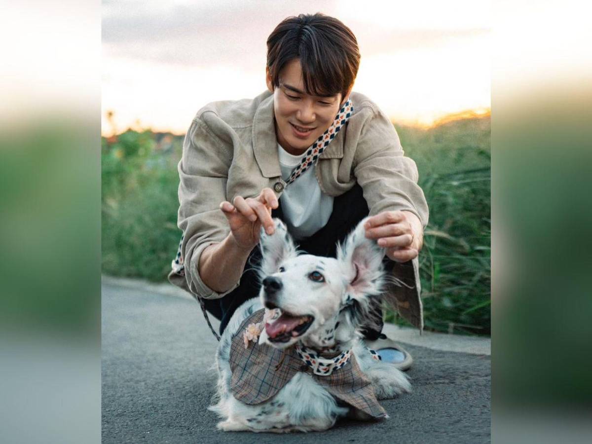 ¿Quién es Yoo Yeon-seok del K-drama “Cuando el teléfono suena”?