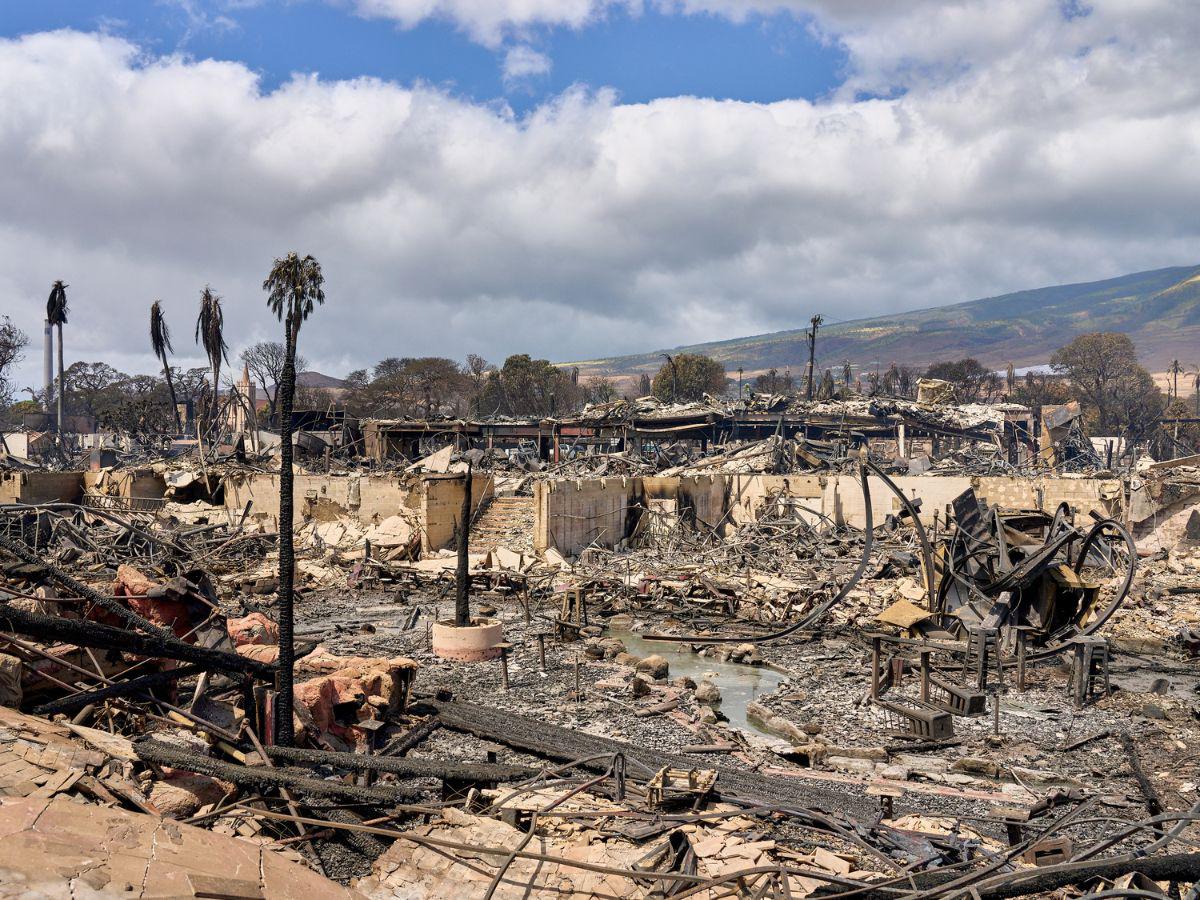 ¿Qué se sabe sobre los devastadores incendios forestales en Hawái?