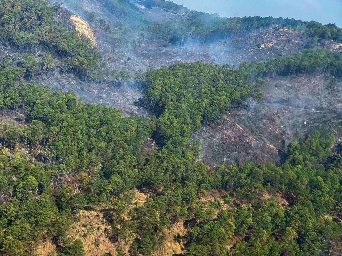 Un 20 por ciento de La Tigra podría desaparecer en 15 años, alertan expertos