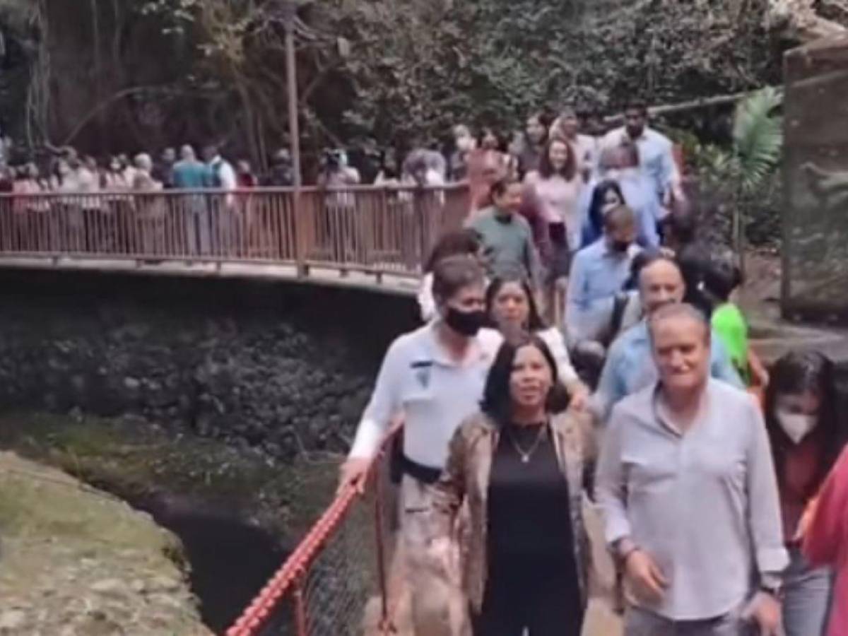 VIDEO: Unas 25 personas quedan lesionadas tras caída de puente colgante en México