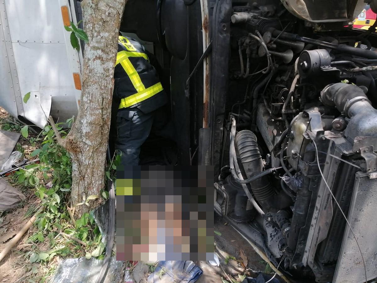 El cuerpo del conductor quedó atrapado entre el pesado camión y un árbol.