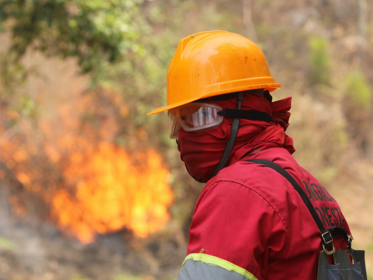 Por eliminar garrapatas habrían provocado incendio en La Tigra