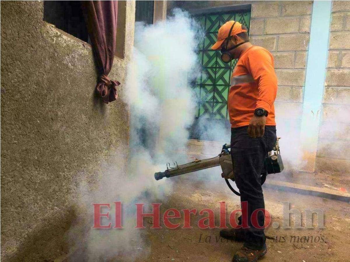 Salud reporta más de mil casos de dengue en la capital