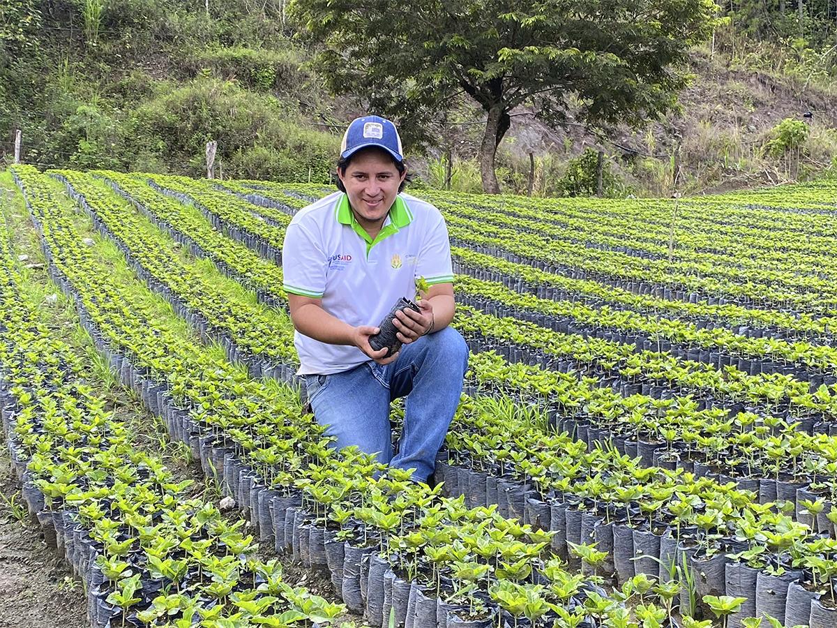 <i>Los técnicos de campo brindan asistencia personalizada, elevando las prácticas agrícolas.</i>