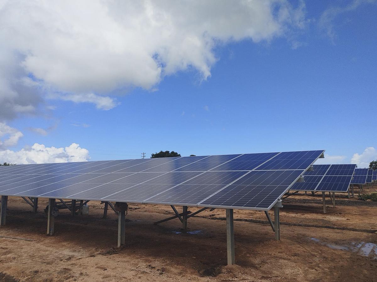 La construcción de la planta incorporó mano de obra local y nacional donde se instalaron 741 paneles solares de 550 Wp.