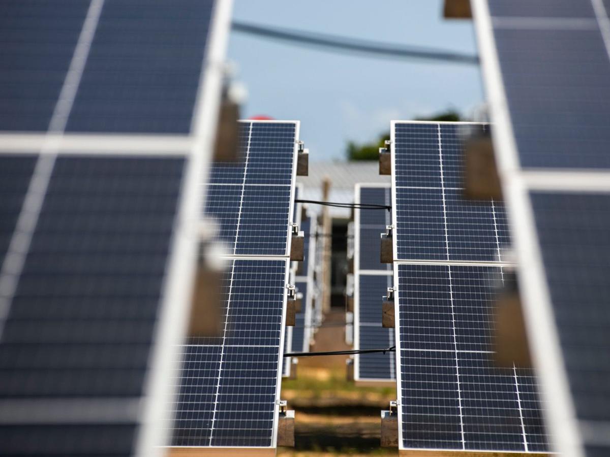 741 paneles solares fueron instalados en el proyecto de energía solar.