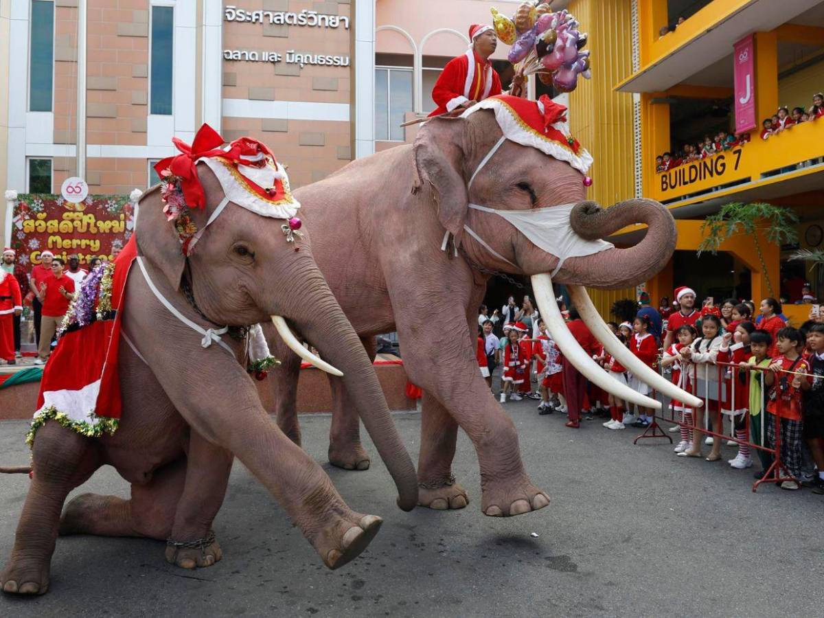 Con mucha alegría millones de personas de distintos países festejan Navidad