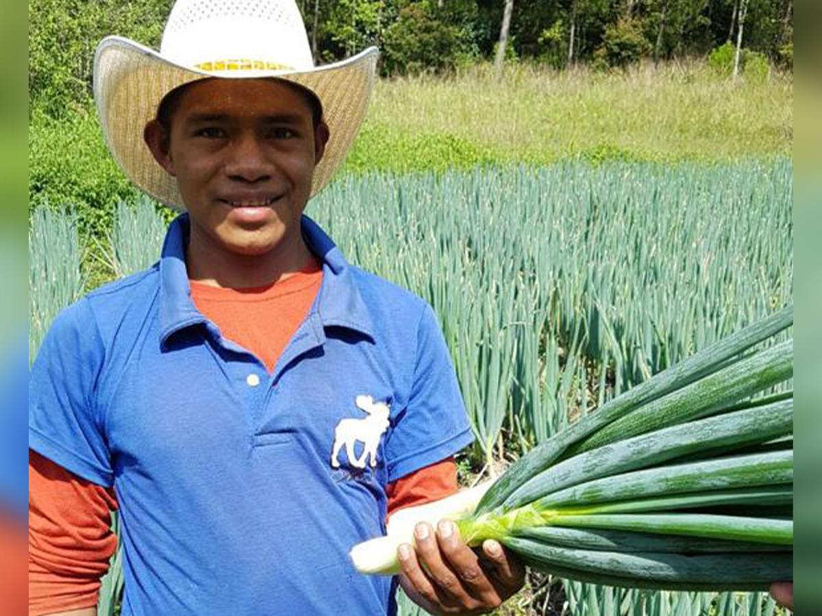 El Proyecto ProOccidente generará la transformación, comercialización, y apertura de nuevos mercados para incrementar los ingresos de las familias rurales.