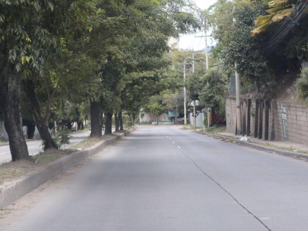 Desiertas lucen las calles del Distrito Central este 25 de diciembre