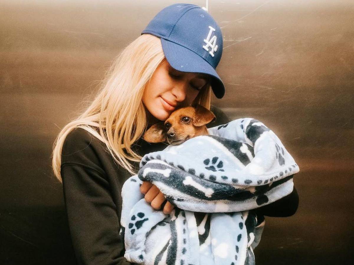 Paris Hilton se suma al rescate de animales tras incendios en Los Ángeles