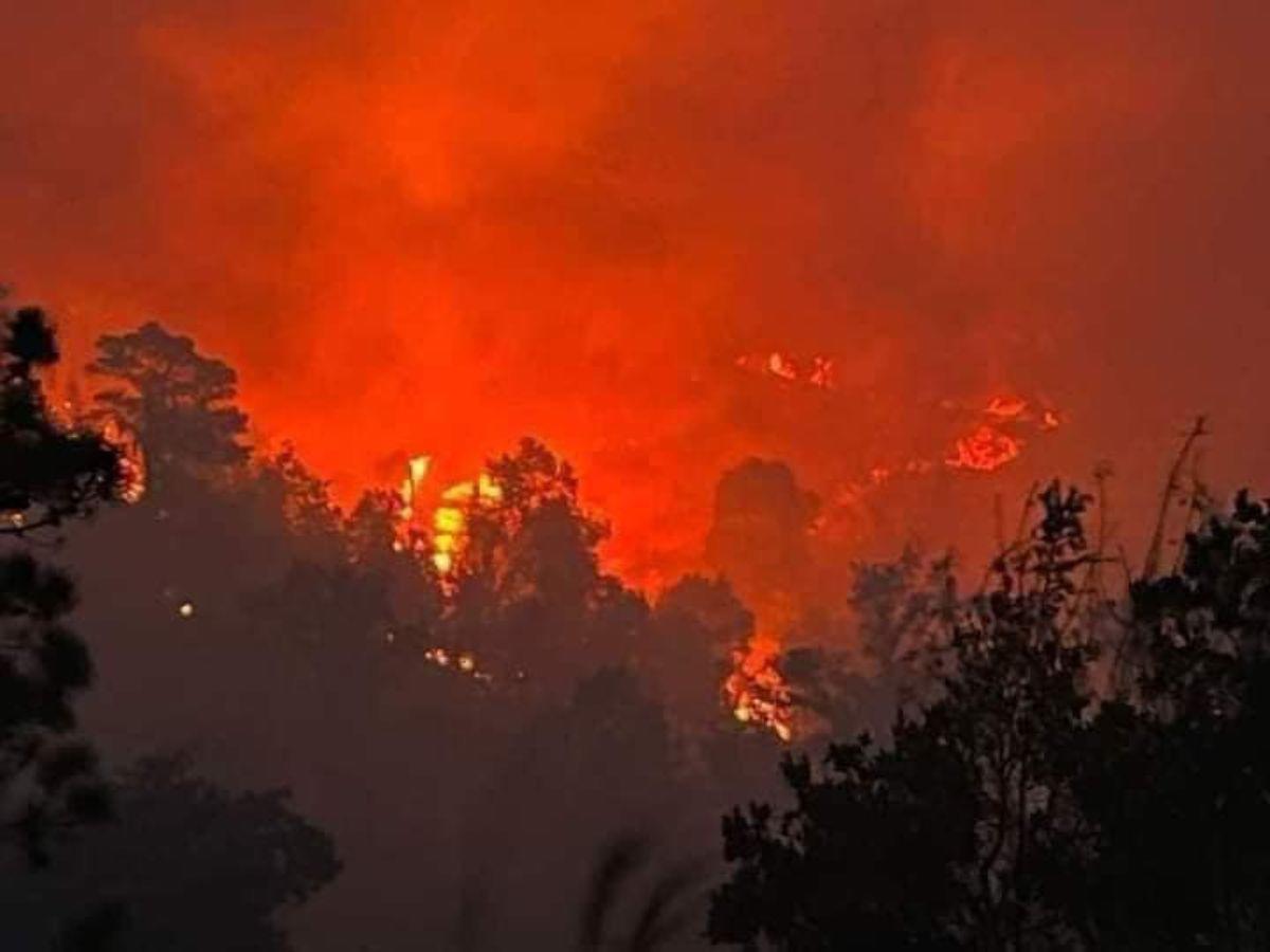 Fuerte incendio forestal tiene en llamas reserva biológica de Misoco