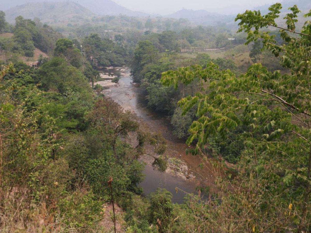 Ocupación de tierras, narcocarreteras y deforestación: conflicto en el río Plátano