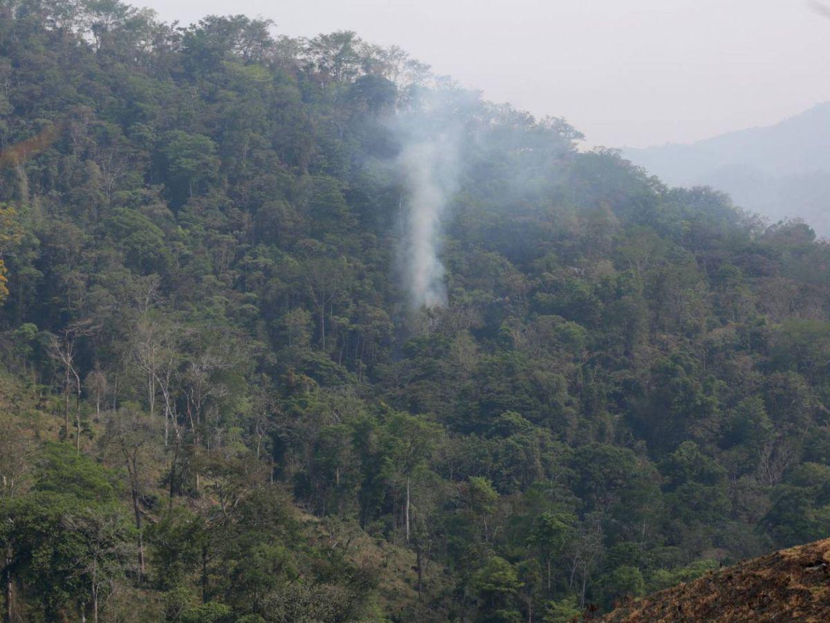 Ocupación de tierras, narcocarreteras y deforestación: conflicto en el río Plátano