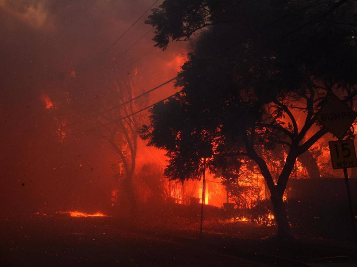 Incendio en Los Ángeles avanza sin control y amenaza a miles a su paso