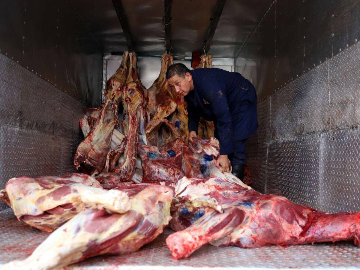 En Promdeca se mantiene una constante vigilancia de la producción de la carne de res y cerdo.